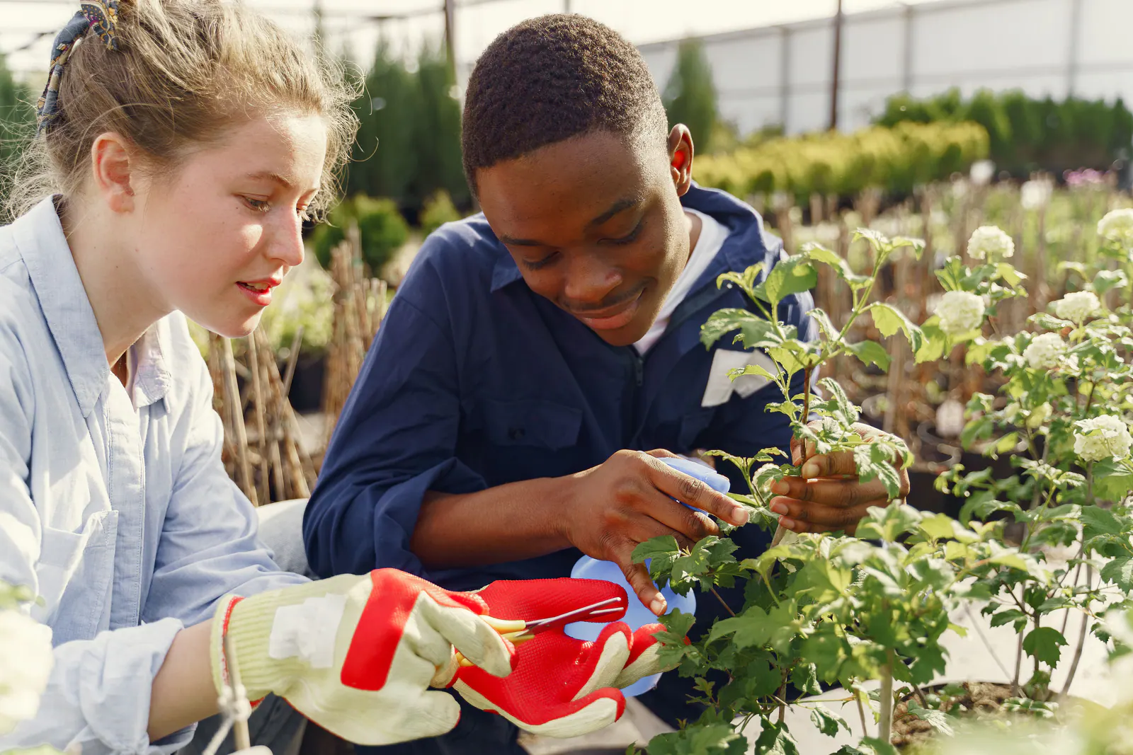 Two young adults working together to care for plants outdoors.